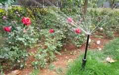 亨特灌溉扮靚昆明長水國際機場